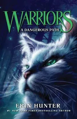 Dangerous Path