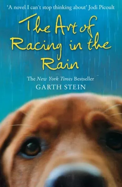 ART OF RACING IN RAIN PB