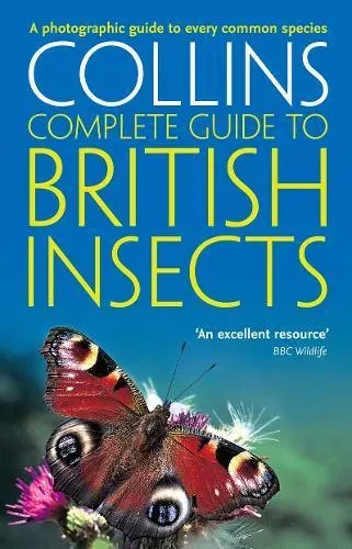 COMPLETE GDE TO BRIT INSECT PB : A photographic guide to every common species