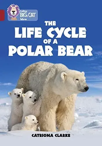 Life Cycle of a Polar Bear