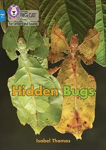 Hidden Bugs