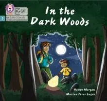 In the Dark Woods
