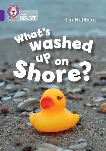 What's washed up on shore?
