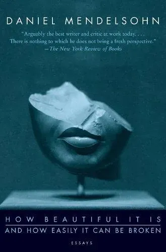 How Beautiful It Is and How Easily It Can Be Broken: Essays