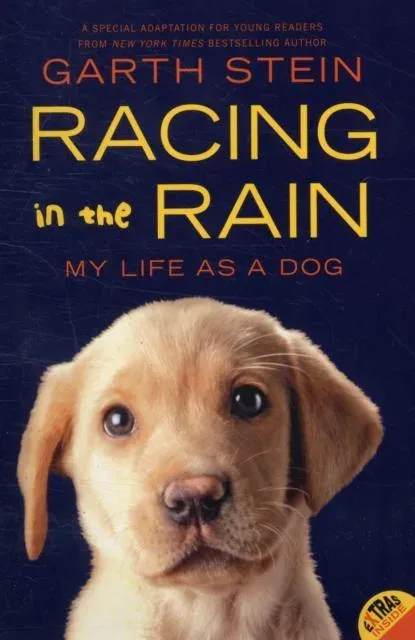 Racing in the Rain