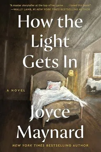 How the Light Gets In