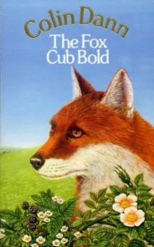 Fox Cub Bold