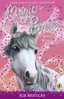 Magic Ponies: A Special Wish