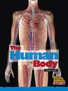 Human Body