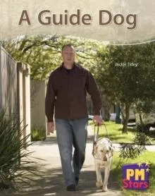 Guide Dog