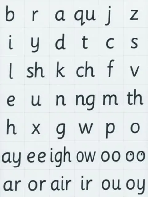 Read Write Inc. Phonics: Magnetic Speed Sound Cards