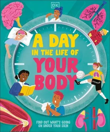 A Day in the Life of Your Body : Find Out What's Going on Under Your Skin