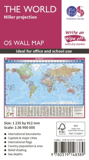 World Miller Projection