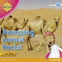 My Gulf World and Me Level 3 non-fiction reader: Amazing camel facts!