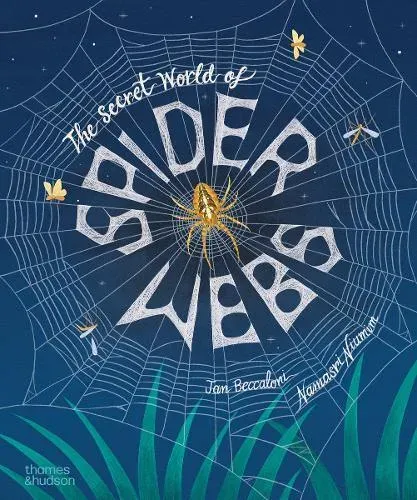 Secret World of Spider Webs