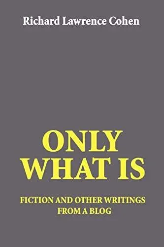 Only What Is:fiction and other writings from a blog