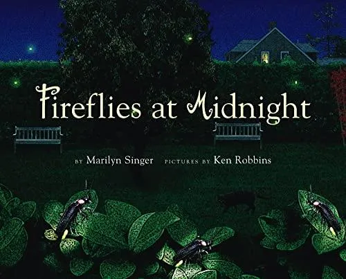 Fireflies at Midnight