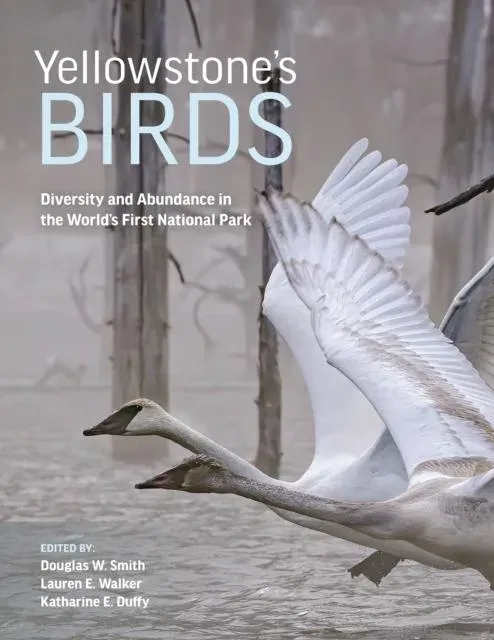 Yellowstone’s Birds