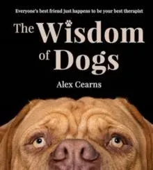 Wisdom Of Dogs: The adorable and funny new book from the photographer behind the bestselling QUOKKA'S GUIDE TO HAPPINESS and ZEN DOGS