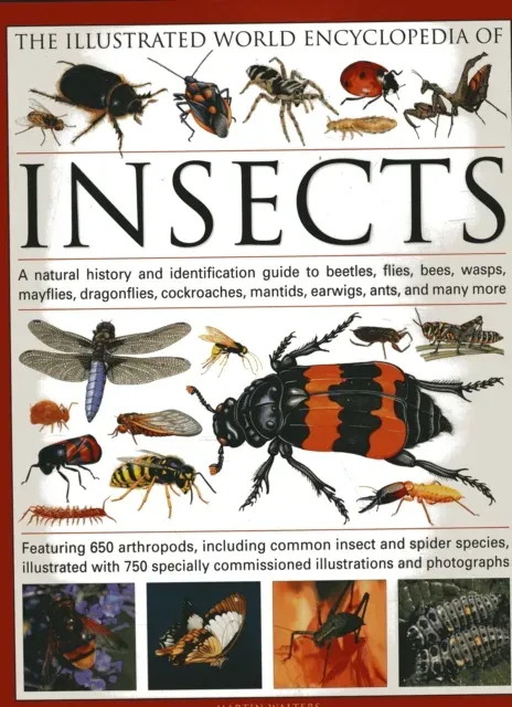 Illustrated World Encyclopaedia of Insects