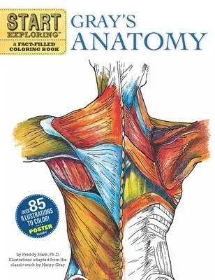Start Exploring: Gray's Anatomy