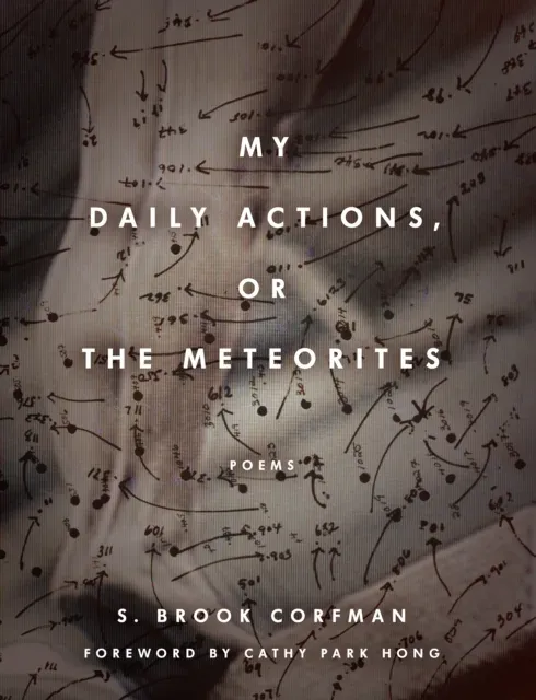 My Daily Actions, or the Meteorites