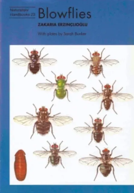 Blowflies