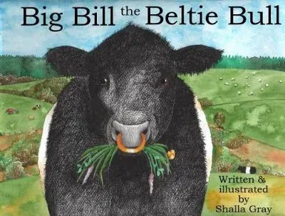 Big Bill the Beltie Bull