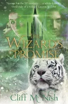 Wizard's Promise