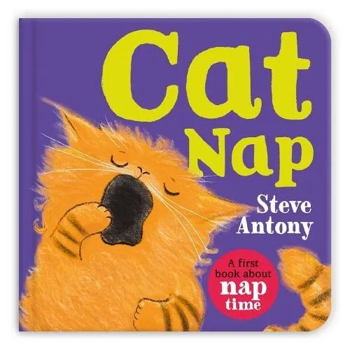Cat Nap : A First Book About Naptime