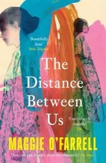 The Distance Between Us : The Sunday Times Bestseller from the Author of Hamnet