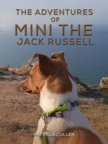 Adventures of Mini the Jack Russell