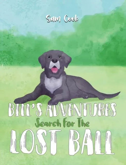 Bill's Adventures: Search for the Lost Ball