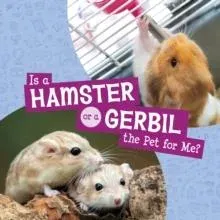 Is a Hamster or a Gerbil the Pet for Me?