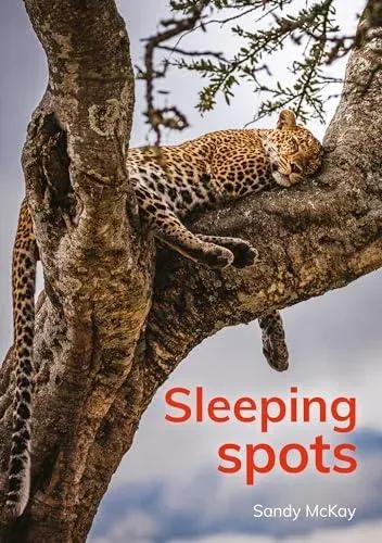 Sleeping spots