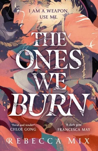 The Ones We Burn : the New York Times bestselling dark epic young adult fantasy