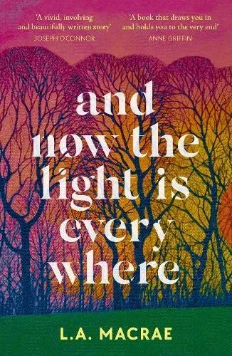 And Now the Light is Everywhere : A stunning debut novel of family secrets and redemption