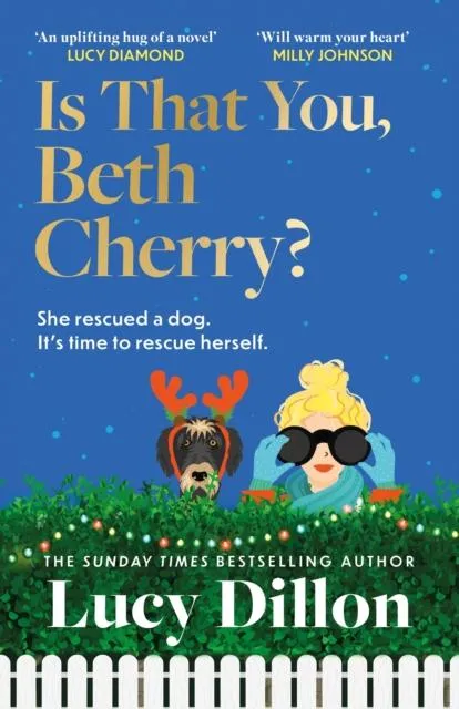 Is That You, Beth Cherry? : the warm and witty new novel from the author of Irresponsible Adult