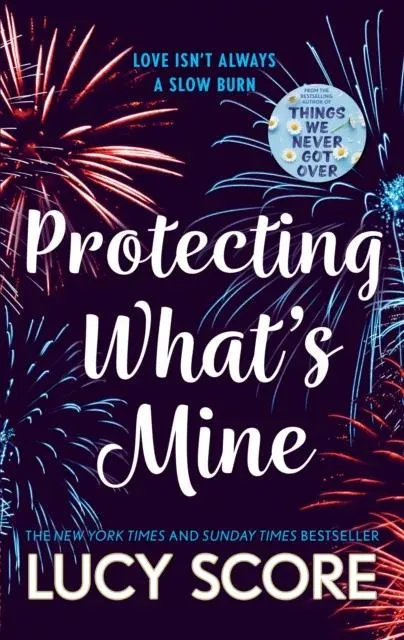 Protecting What's Mine : the stunning small town love story from the author of Things We Never Got Over