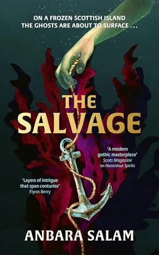 The Salvage : 'A gothic tale with a powerful sense of place and an eerie atmosphere' Sunday Times