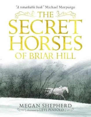 Secret Horses of Briar Hill