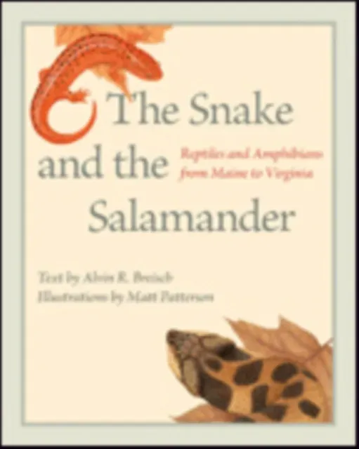Snake and the Salamander