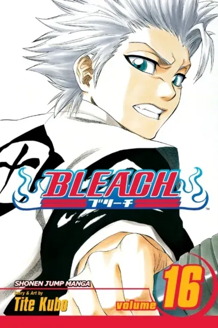 Bleach, Vol. 16 : Knight of Wijnruit