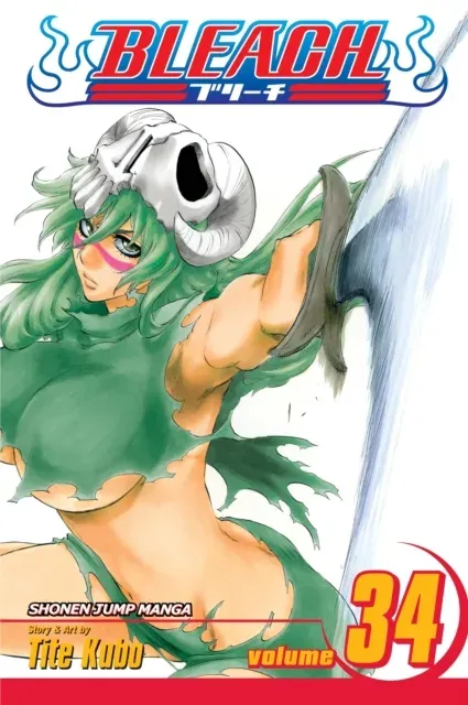 Bleach, Vol. 34 : King of the Kill