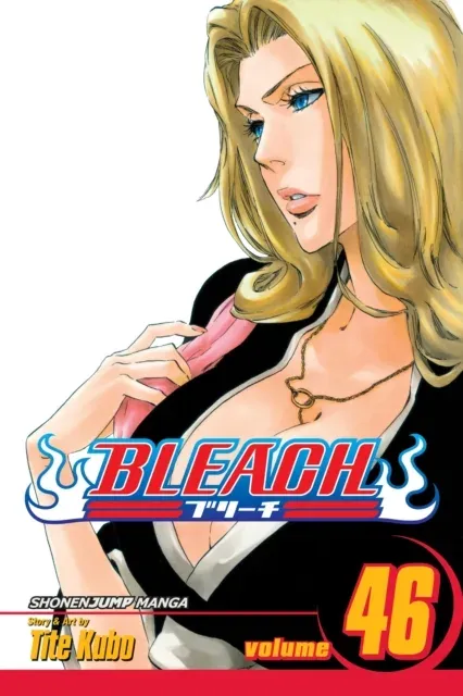 Bleach, Vol. 46 : Back from Blind