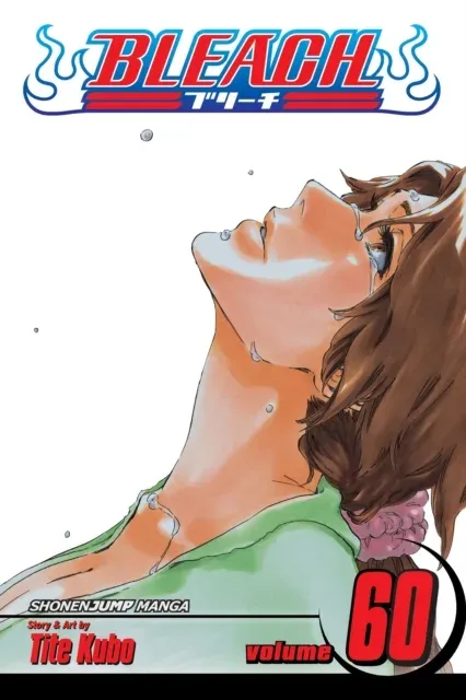 Bleach, Vol. 60 : Everything But the Rain