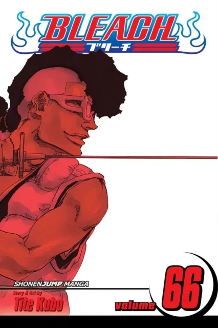 Bleach, Vol. 66 : Sorry I Am Strong