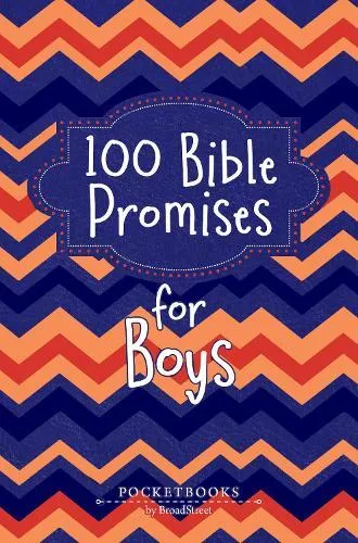 100 Bible Promises for Boys : Pocketbooks by BroadStreet