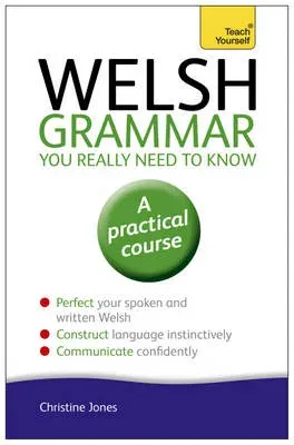 Welsh Grammar You Really Need to Know: Teach Yourself