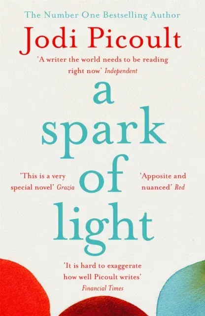 A Spark of Light : The heart-stopping and heartbreaking ethical dilemma novel from the bestselling author of My Sister's Keeper